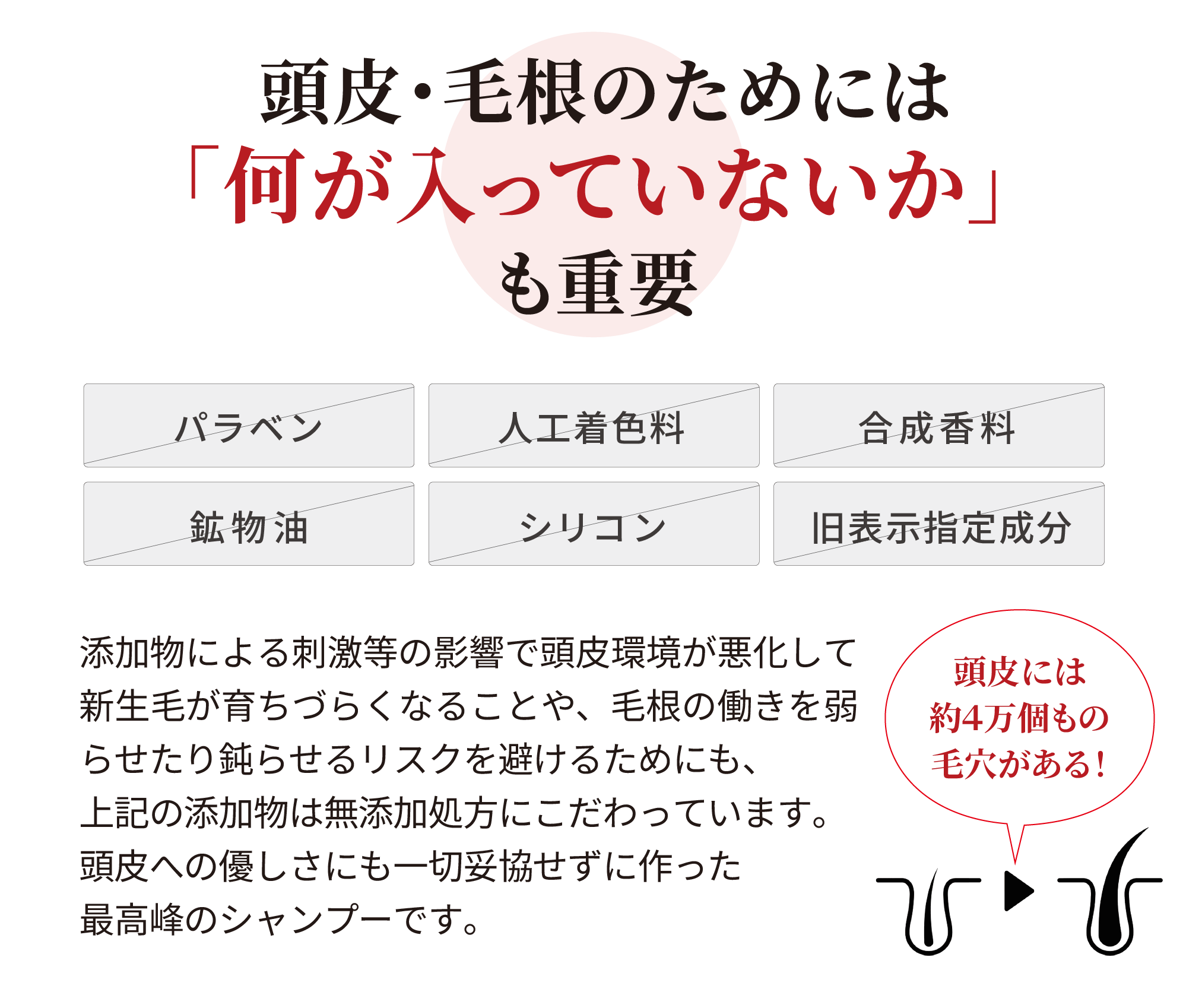 NHEモイストリペアシャンプー