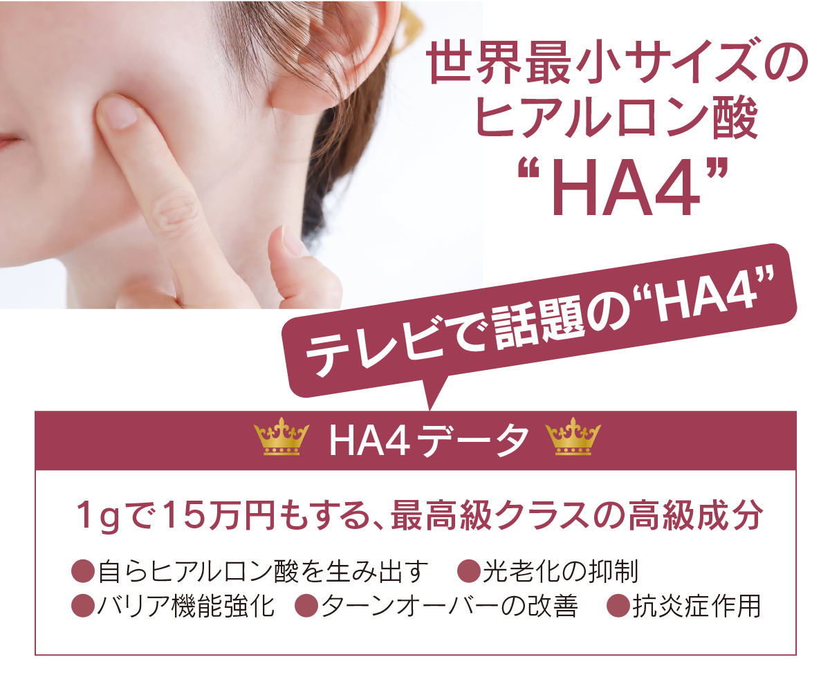 マイクロリポセラム