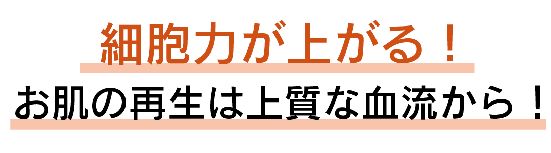ジーゼロコイルフェイシャルマスク