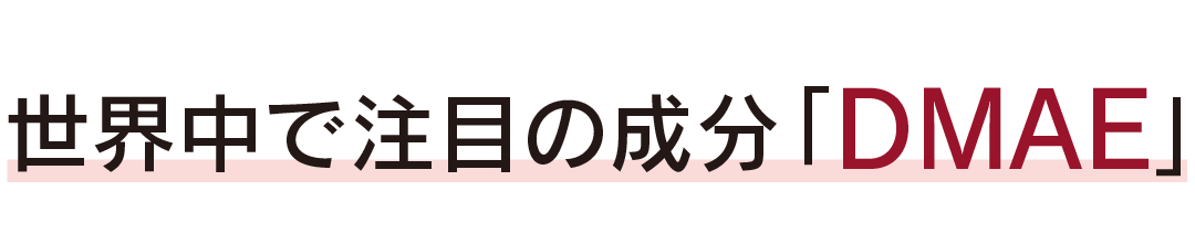 マイクロリポセラム