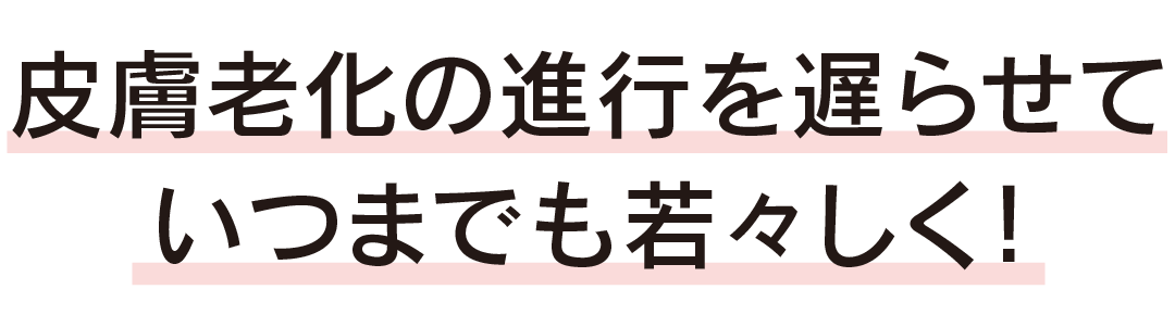マイクロリポセラム