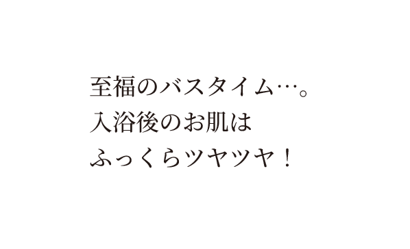 本物の重炭酸入浴剤・ホットバブルプロ