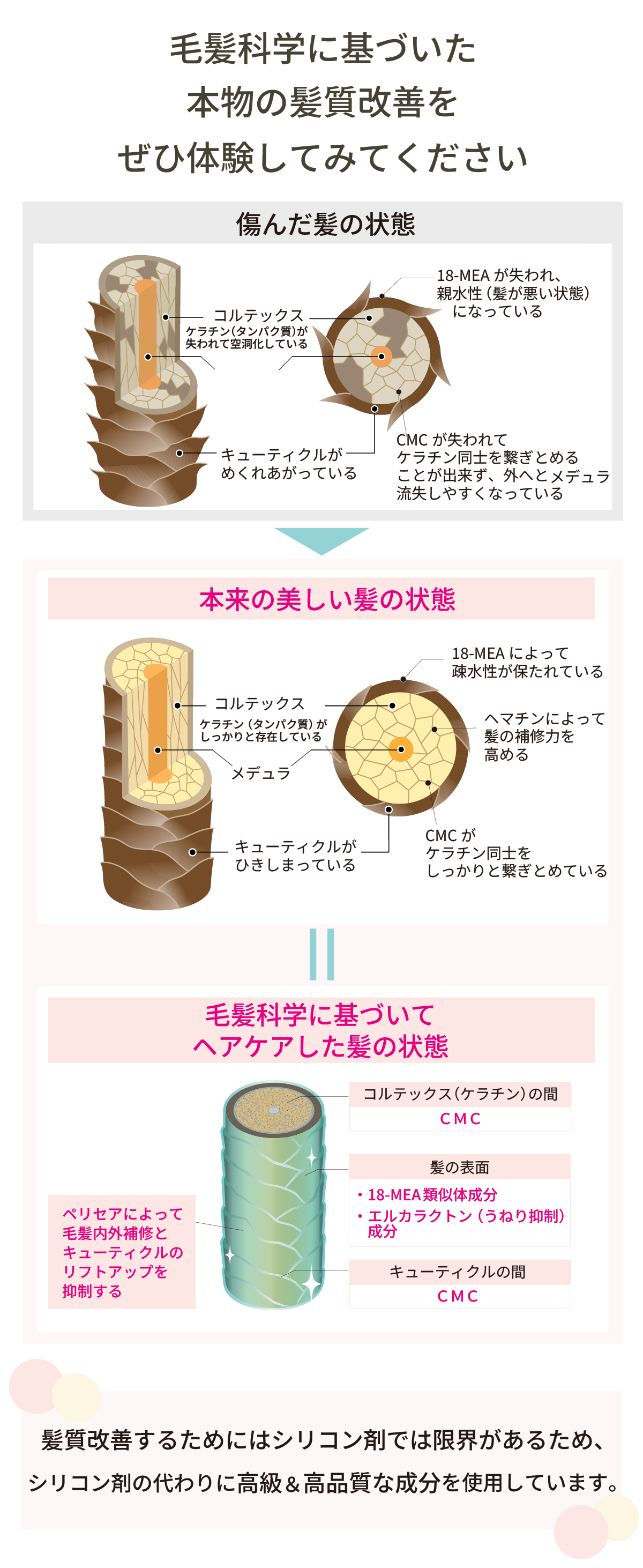 東京・吉祥寺・マリスローレン・NHEヘアケア