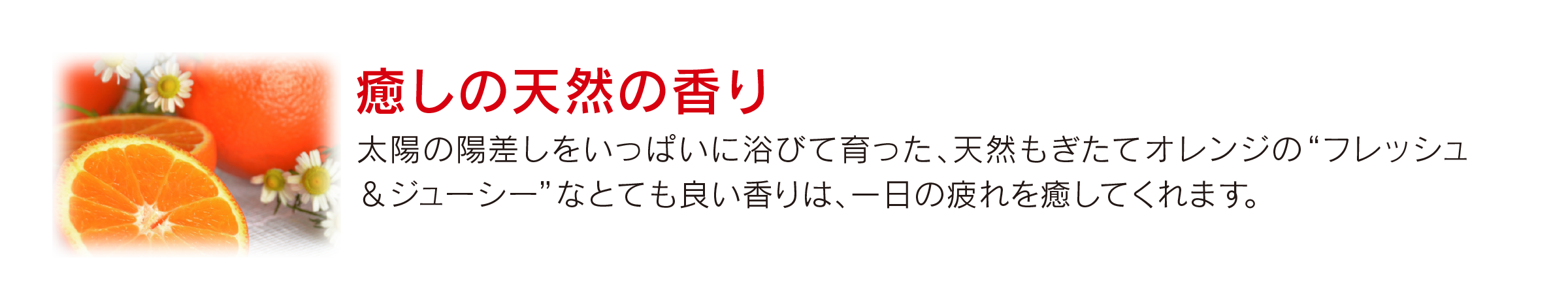 癒しの天然の香り