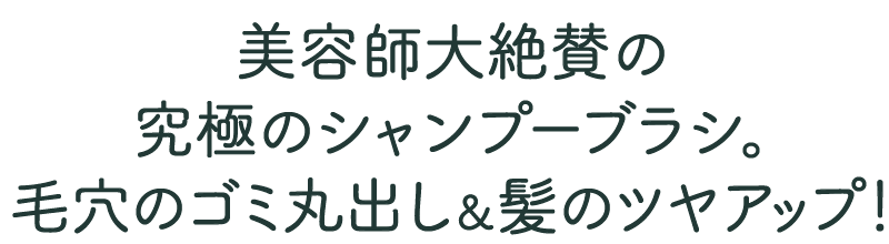 美容師絶賛のシャンプーブラシ。毛穴のゴミ出し＆髪のツヤアップ！